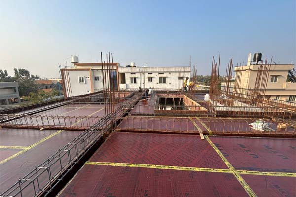 Project Management Consultancy